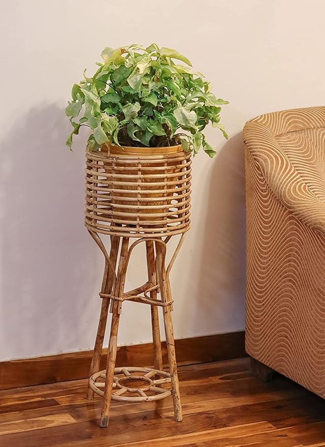 Pot Holder Stand, Planter with 3 Legs in Beige Color in Cane by INDIA CRAFT