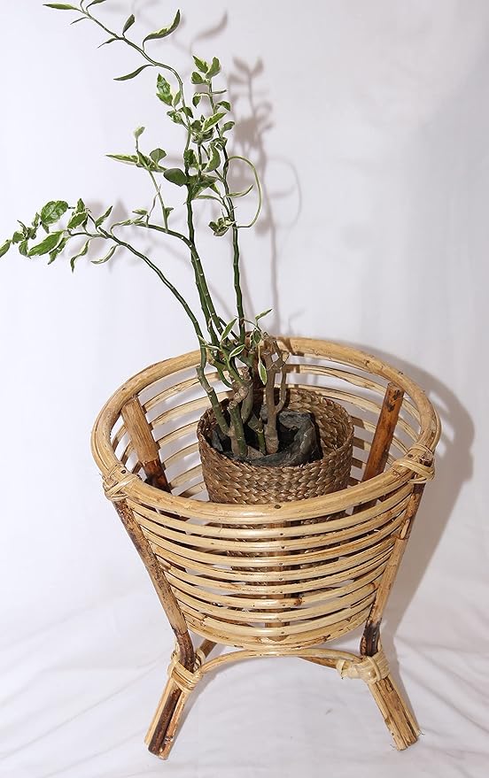 Pot Holder Stand, Planter with 3 Legs in Beige Color in Cane by INDIA CRAFT